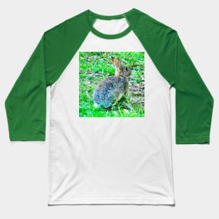 The Wild Rabbit Baseball T-Shirt